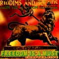 Next Chapter of Riddim and Sounds